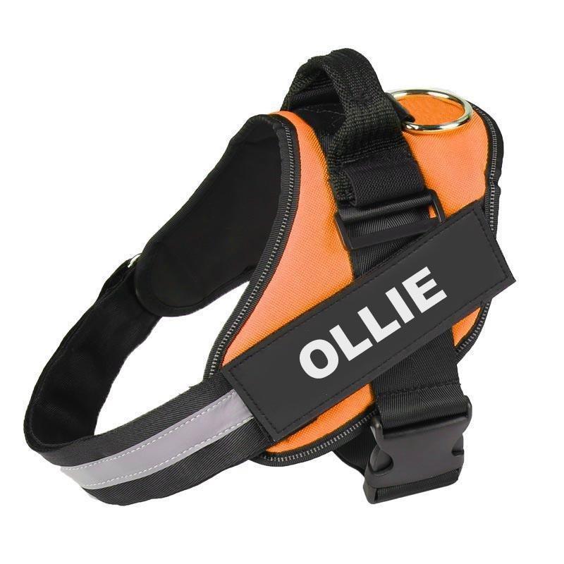 SPARKLE™  -  PERSONALIZED NO PULL DOG HARNESS