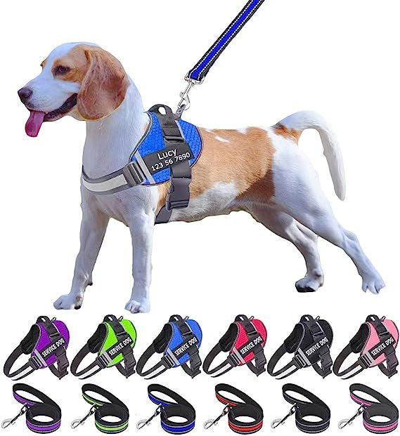 SPARKLE™  -  PERSONALIZED NO PULL DOG HARNESS