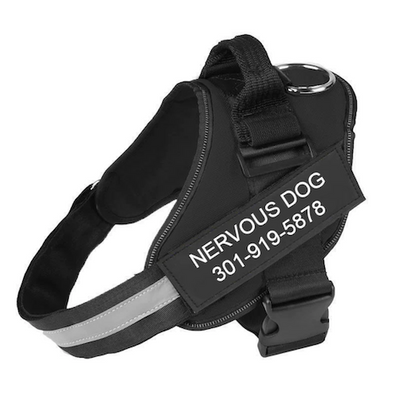 SPARKLE™  -  PERSONALIZED NO PULL DOG HARNESS