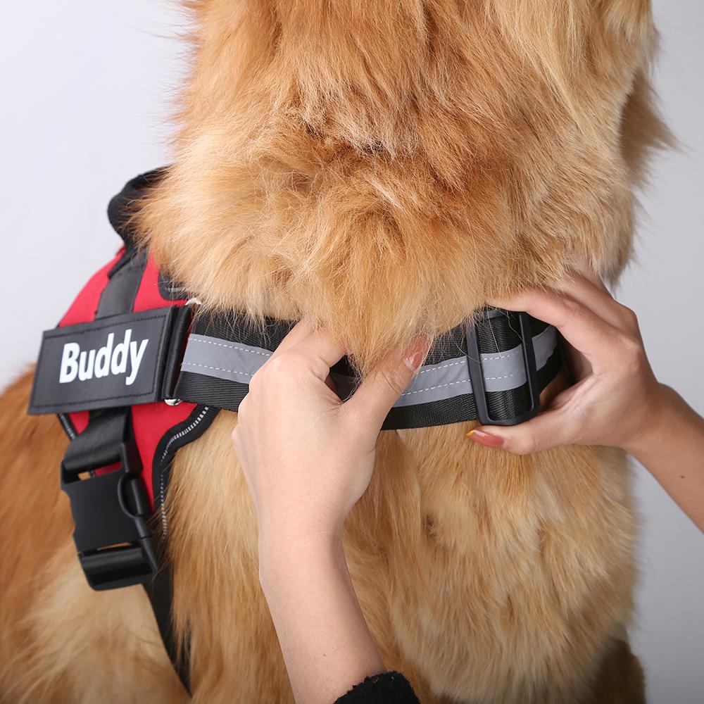 SPARKLE™  -  PERSONALIZED NO PULL DOG HARNESS